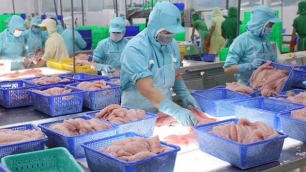 Tra fish exports to ASEAN growing strongly