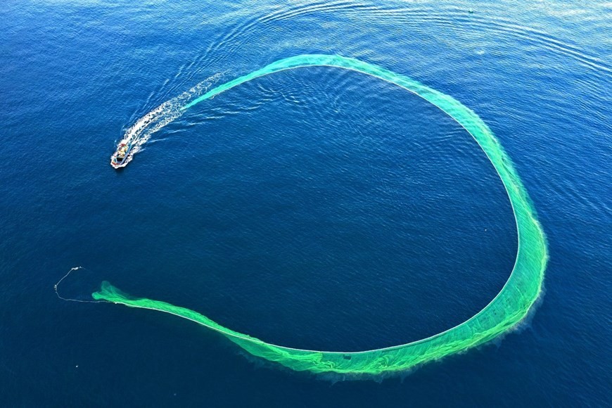 Breathtaking net-fishing moments off coast of Phu Yen