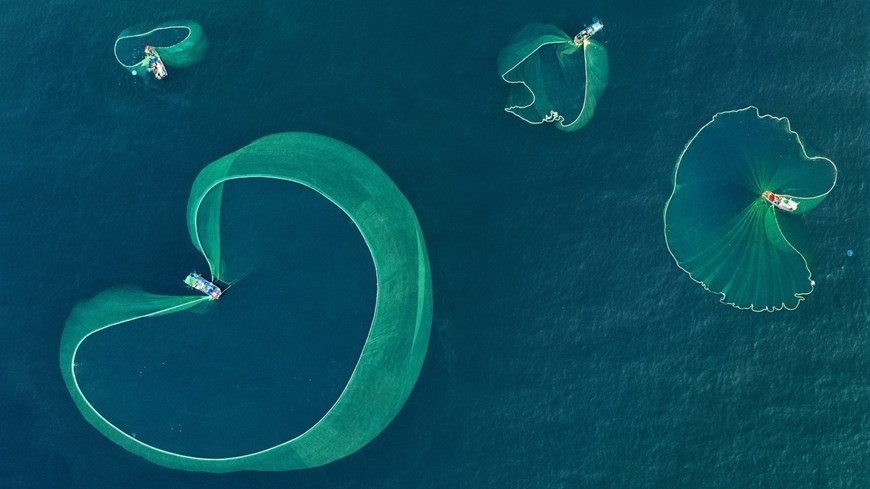 Breathtaking net-fishing moments off coast of Phu Yen