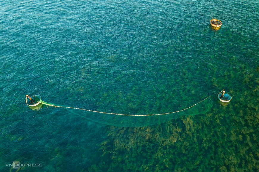 Seaweed forest in Quang Ngai