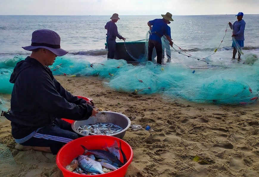 Fishermen pull in nets in Da Nang city