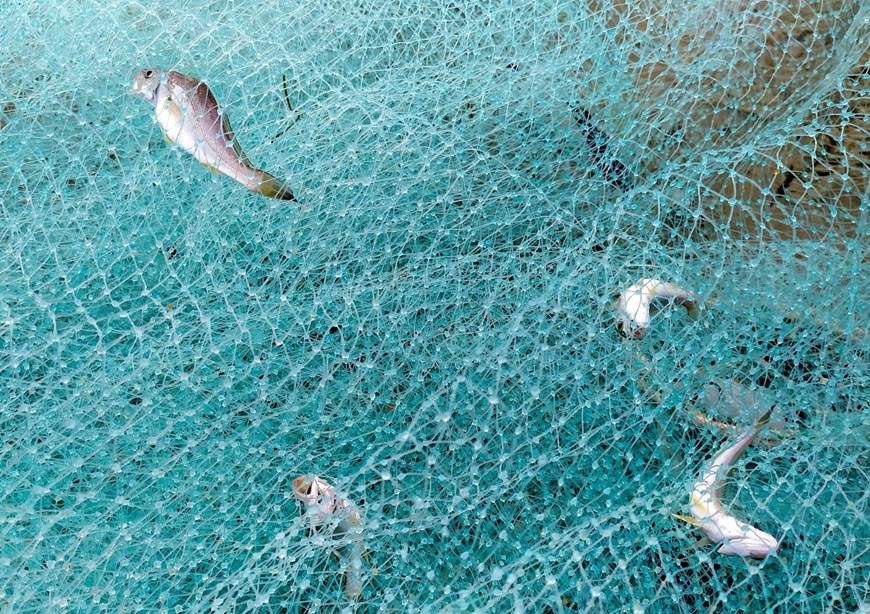 Fishermen pull in nets in Da Nang city