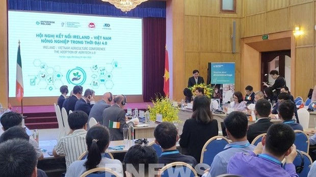 Promote Vietnam-Ireland agricultural businesses