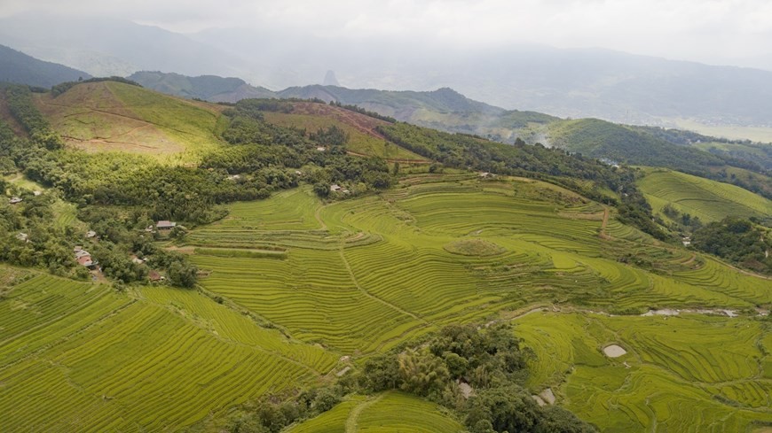 Peaceful charm of terraced rice fields in mountainous Hoa Binh province