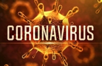 Dịch bệnh viêm phổi do virus corona: Những điều cần biết, triệu chứng và cách phòng ngừa