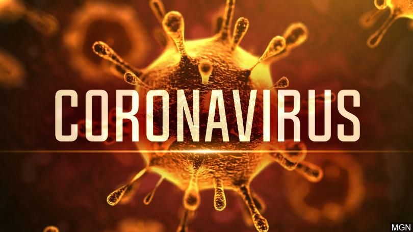 Infographic: Toàn cảnh diễn biến khó lường của dịch viêm phổi cấp do virus Corona