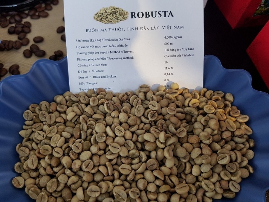 Giá cà phê hôm nay 31/1: Cà phê robusta tăng cầm chừng, thị trường cần một cú hích