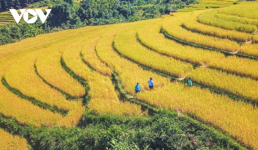 Du Xuân ở Bình Liêu!