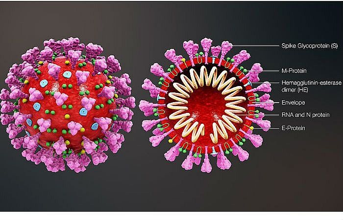 Công ty Anh chào bán các kháng nguyên của virus corona chủng mới