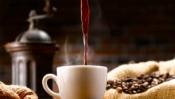 Giá cà phê hôm nay 20/5: Cà phê lại 'lội ngược dòng', khả năng thế giới thiếu hụt nguồn cung?