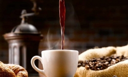 Giá cà phê hôm nay 3/3/2023: Giá cà phê thế giới giảm, trong nước tiếp tục tăng; năng suất và sản lượng dự kiến vụ mới giảm