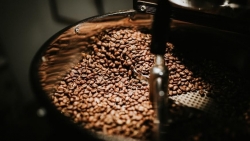 Giá cà phê hôm nay 8/6/2023: Giá cà phê robusta tăng vọt, sản lượng thế giới giảm 1/5, tiêu thụ vượt nguồn cung 7,3 triệu bao