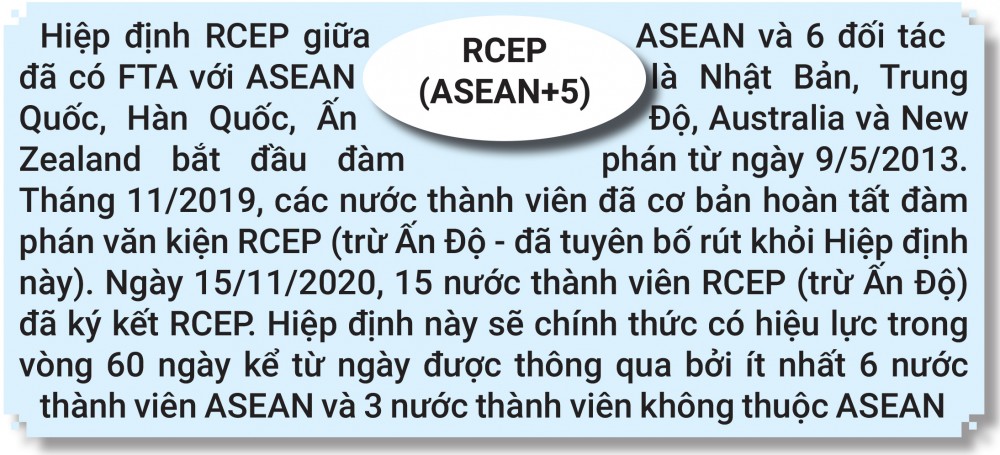 Nhật Bản, Việt Nam, RCEP và mục tiêu thịnh vượng