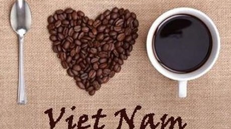 Giá cà phê hôm nay 15/5: Giảm sâu theo xu hướng chung; Xuất khẩu cà phê Việt Nam giảm về số lượng, tăng về giá trị