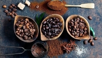 Giá cà phê hôm nay 21/2/2023: Giá cà phê robusta tăng tốt phiên đầu tuần, kịch bản giá cao kỷ lục năm 2022 khó lặp lại vì sao?