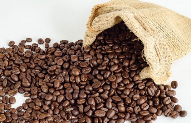 Giá cà phê hôm nay 12/5/2023: Giá cà phê trong nước lao dốc mạnh, tình trạng bán thanh lý trên sàn quốc tế