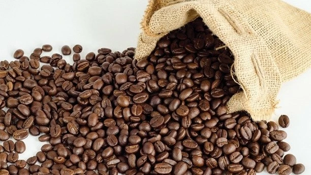 Giá cà phê hôm nay 25/9/2024: Giá cà phê robusta vượt xa kỷ lục cũ, giới đầu cơ vẫn tìm hàng mua thêm; thách thức dài hạn đối với cà phê Việt Nam?