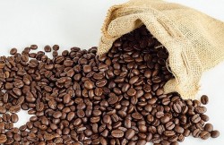 Giá cà phê hôm nay 23/11/2023: Giá cà phê bật tăng mạnh, giảm chỉ trong ngắn và trung hạn, dự báo nguồn hàng dồi dào?
