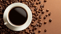 Giá cà phê hôm nay 16/10: Lo ngại rủi ro giới đầu cơ mạnh tay thanh lý, cà phê vào vùng tiêu cực, nguy cơ thâm hụt nguồn cung