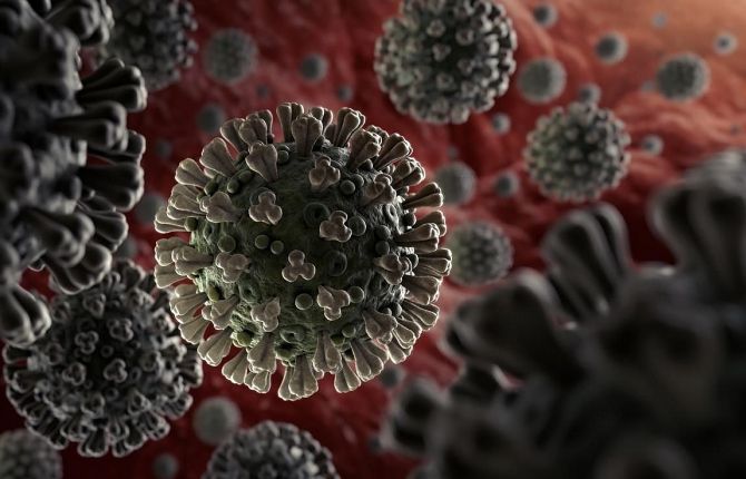 Cập nhật 14h ngày 2/4: Mỹ phát hiện cách virus SARS-CoV-2 trốn hệ miễn dịch, WHO dự báo đỉnh dịch tại Malaysia
