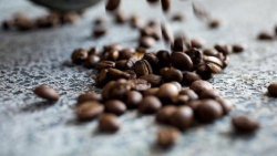 Giá cà phê hôm nay 8/12: Arabica đảo chiều giảm mạnh, robusta trái chiều, khó khăn bên ngoài ngày càng gia tăng