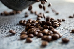 Giá cà phê hôm nay 21/4/2024: Giá cà phê trong nước lập kỷ lục mới vào cuối tuần, 'sao đổi ngôi' trên thị trường robusta?