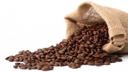 Giá cà phê hôm nay 2/5/2024: Giá cà phê tiếp tục giảm - chỉ là hiện tượng điều chỉnh tạm thời?