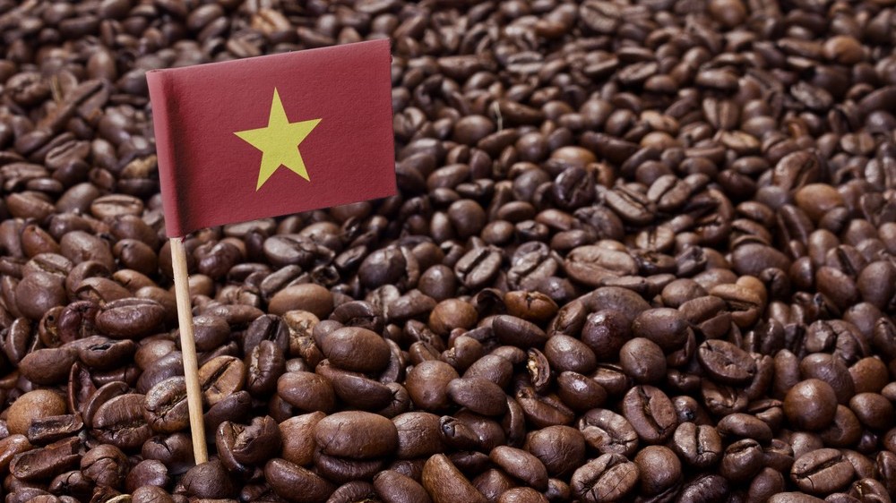 Giá cà phê hôm nay 30/9, Giá tiếp đà tăng mạnh mẽ, sản lượng cà phê Brazil xuống mức thấp nhất 12 năm