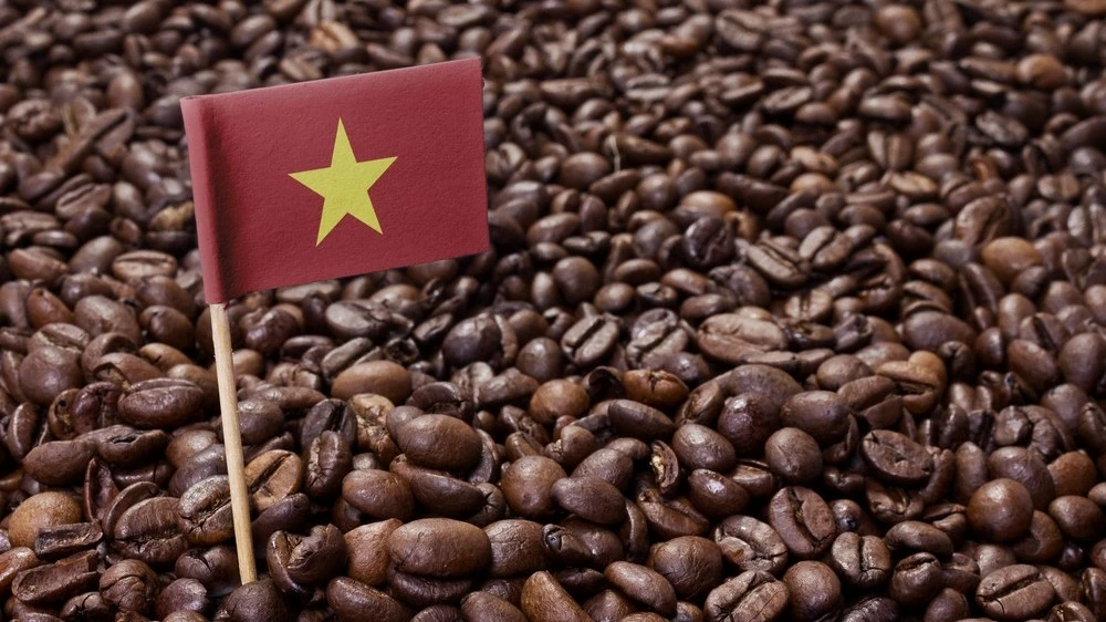 Giá cà phê hôm nay 7/12, Giá robusta tiếp đà tăng mạnh, dự báo giá trong nước có thể lên 43,5 triệu đồng/tấn