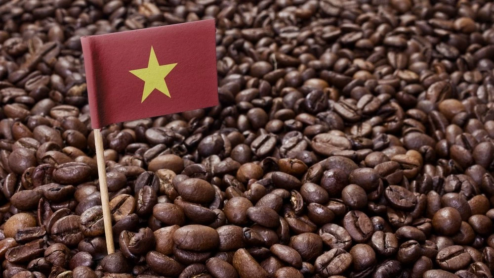 Giá cà phê hôm nay 2/12, Robusta tăng vọt, lý do thị trường tiếp tục bị chậm nguồn cung