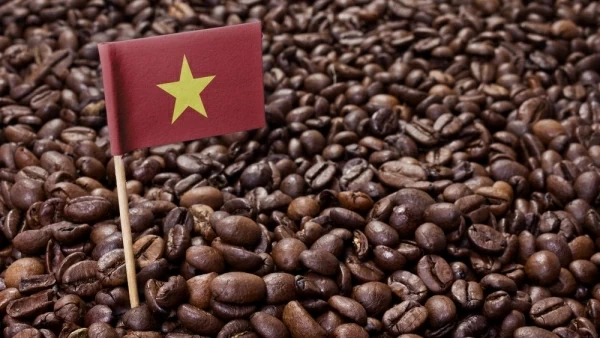 Improving coffee quality essential to expand exports to EU