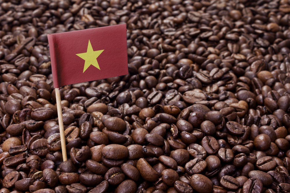 Giá cà phê hôm nay 18/10/2023: Giá cà phê robusta lên cao nhất hai tuần,  đồng USD giảm, nguồn cung vẫn căng thẳng