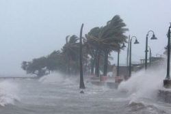 Bão nuri: bão số 1 trên biển Đông có khả năng mạnh lên