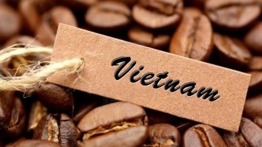 Giá cà phê hôm nay 4/9, Giá cà phê robusta củng cố đà tăng, thách thức vẫn bủa vây nhà cung cấp Việt Nam
