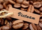 Giá cà phê hôm nay 7/3/2023: Thị trường tăng giảm trái chiều, áp lực từ nguồn cung; Bộ trưởng Nông nghiệp nói về thương hiệu cà phê Việt?