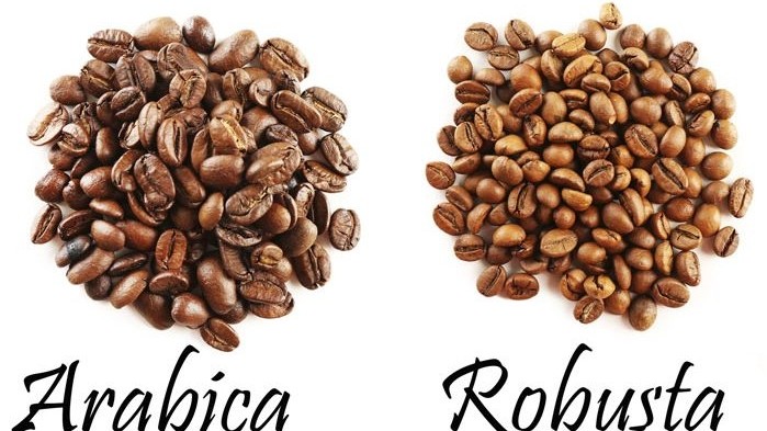 Giá cà phê hôm nay 1/7: Robusta tăng mạnh vượt ngưỡng 1.700 USD; Rủi ro từ lực chốt lời