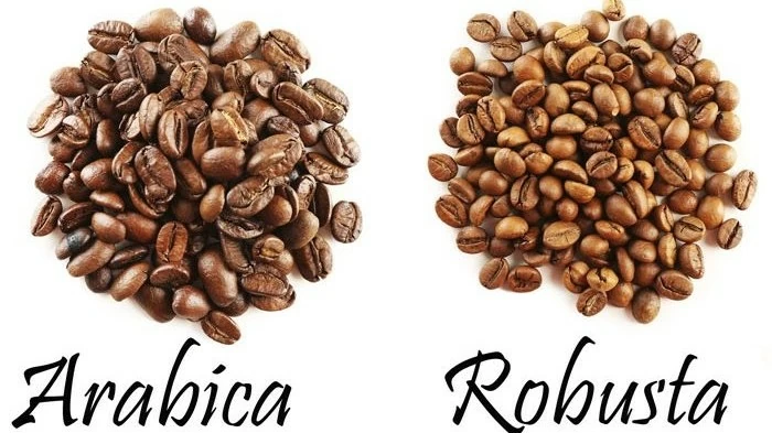 Giá cà phê hôm nay 1/7: Robusta tăng mạnh vượt ngưỡng 1.700 USD; Rủi ro từ lực chốt lời