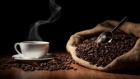 Giá cà phê hôm nay 27/9: Robusta giảm mạnh, thị trường hàng hóa 'thất thế', USD thành sự lựa chọn an toàn nhất