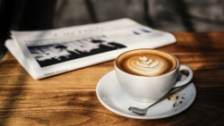Giá cà phê hôm nay 13/11: Xu hướng tăng giá đã trở lại, cơ hội để mạnh tay mua vào?