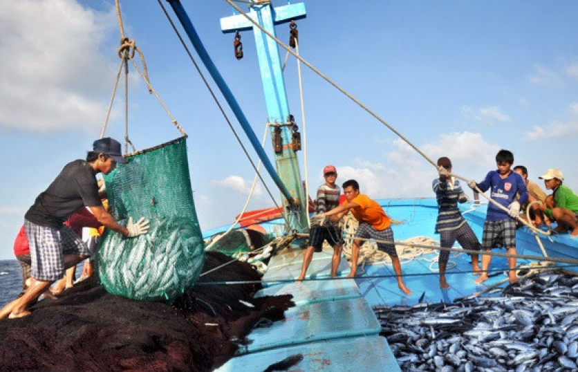 Việt Nam và Ai Cập nên đẩy mạnh hợp tác kinh tế biển và du lịch