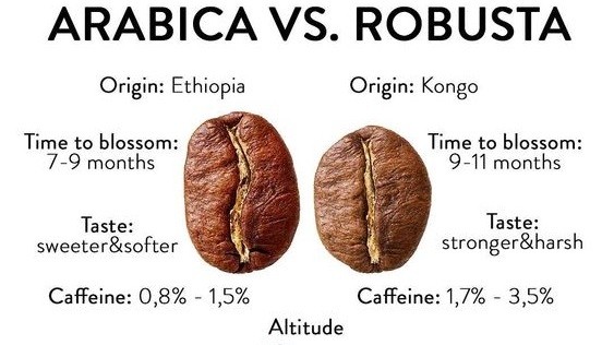 Giá cà phê hôm nay 13/8: Robusta có dấu hiệu chững giá, nguồn cung đang biến động thế nào?