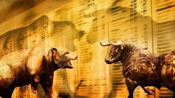 Giá vàng hôm nay 24/3: Vàng hụt hơi, tâm lý điều khiển thị trường, cách giới đầu tư kiếm tiền?