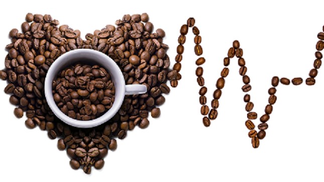 Giá cà phê hôm nay 4/11: Giá cà phê hồi phục, thị trường Mỹ, EU tăng mạnh nhập khẩu từ nguồn Việt Nam