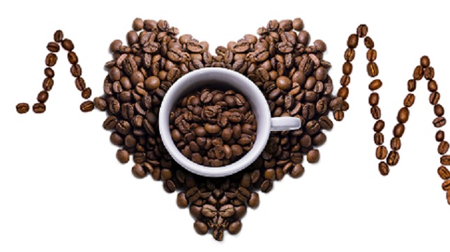 Giá cà phê hôm nay 19/9: Robusta thiết lập mức cao 4 năm mới, hai yếu tố vững chắc hỗ trợ giá cà phê thế giới