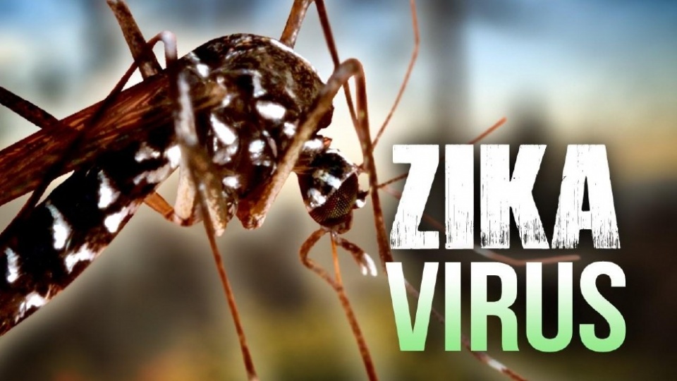virus zika va van de an ninh suc khoe o dong nam a