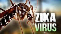 my chi 11 ty usd cho phong chong virus zika