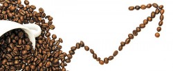 Giá cà phê hôm nay 21/2/2024: Giá cà phê đồng loạt đi xuống; Mỹ giảm nhập từ nguồn Brazil, tăng từ Việt Nam