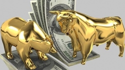 Giá vàng hôm nay 21/11: Giá vàng tăng chớp nhoáng, tâm lý lạc quan ở mức thấp nhất?