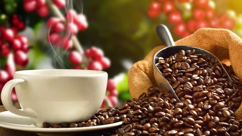 Giá cà phê hôm nay 24/8: Tiếp nối đà tăng, arabica có nhịp tăng mạnh mẽ hơn; sản lượng cà phê Brazil có thể không tốt trong niên vụ tới