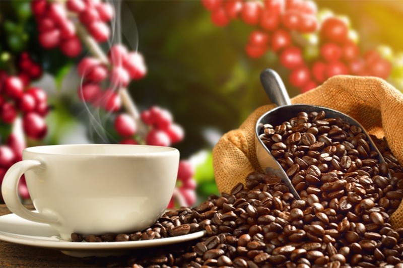Giá cà phê hôm nay 9/3: Biến động mạnh; mức tăng trưởng của cà phê pha sẵn